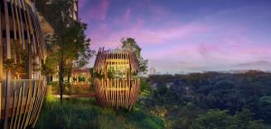 Pinetree Hill Forest Pavilion