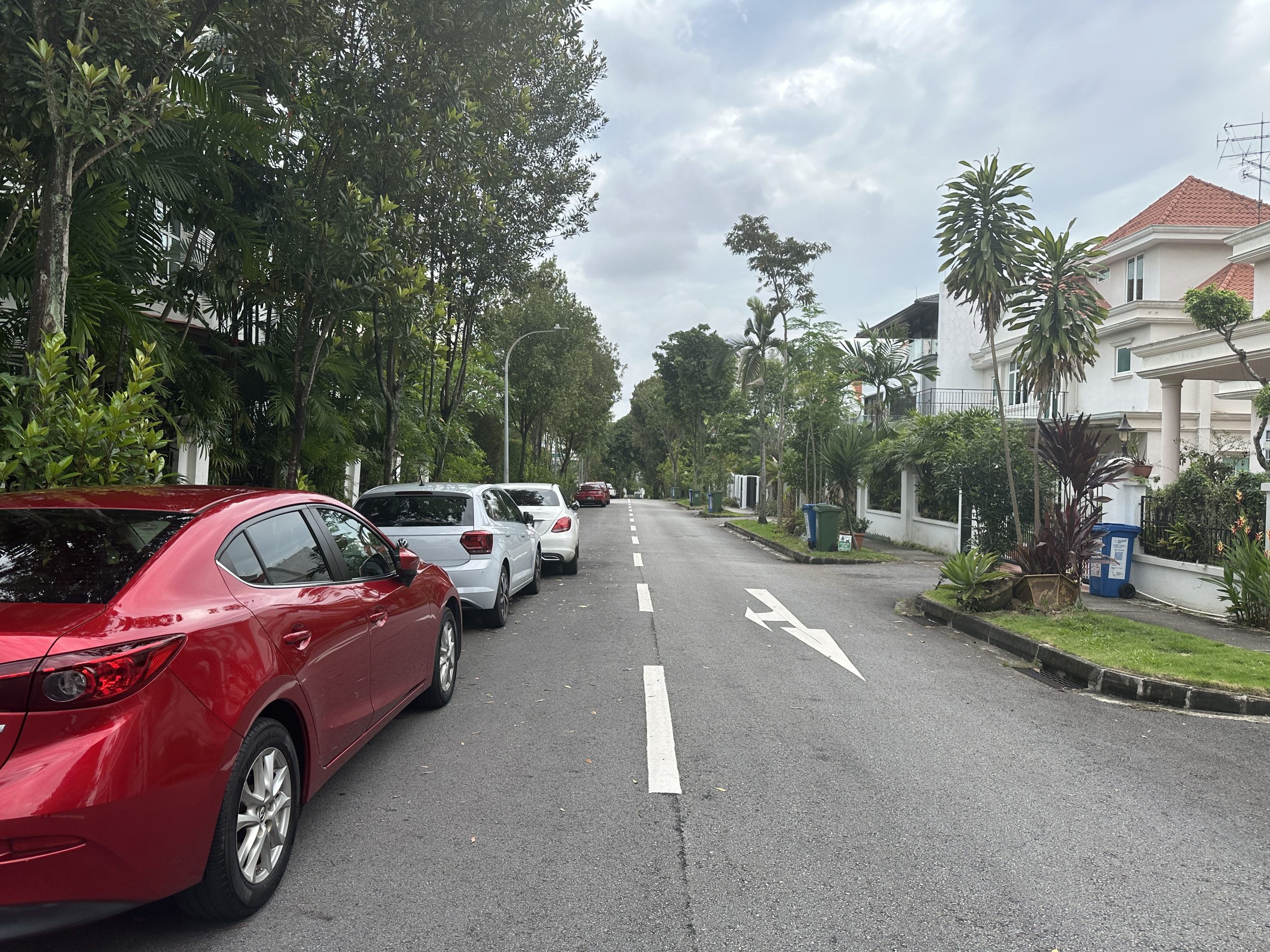Seletar Hills landed estate road