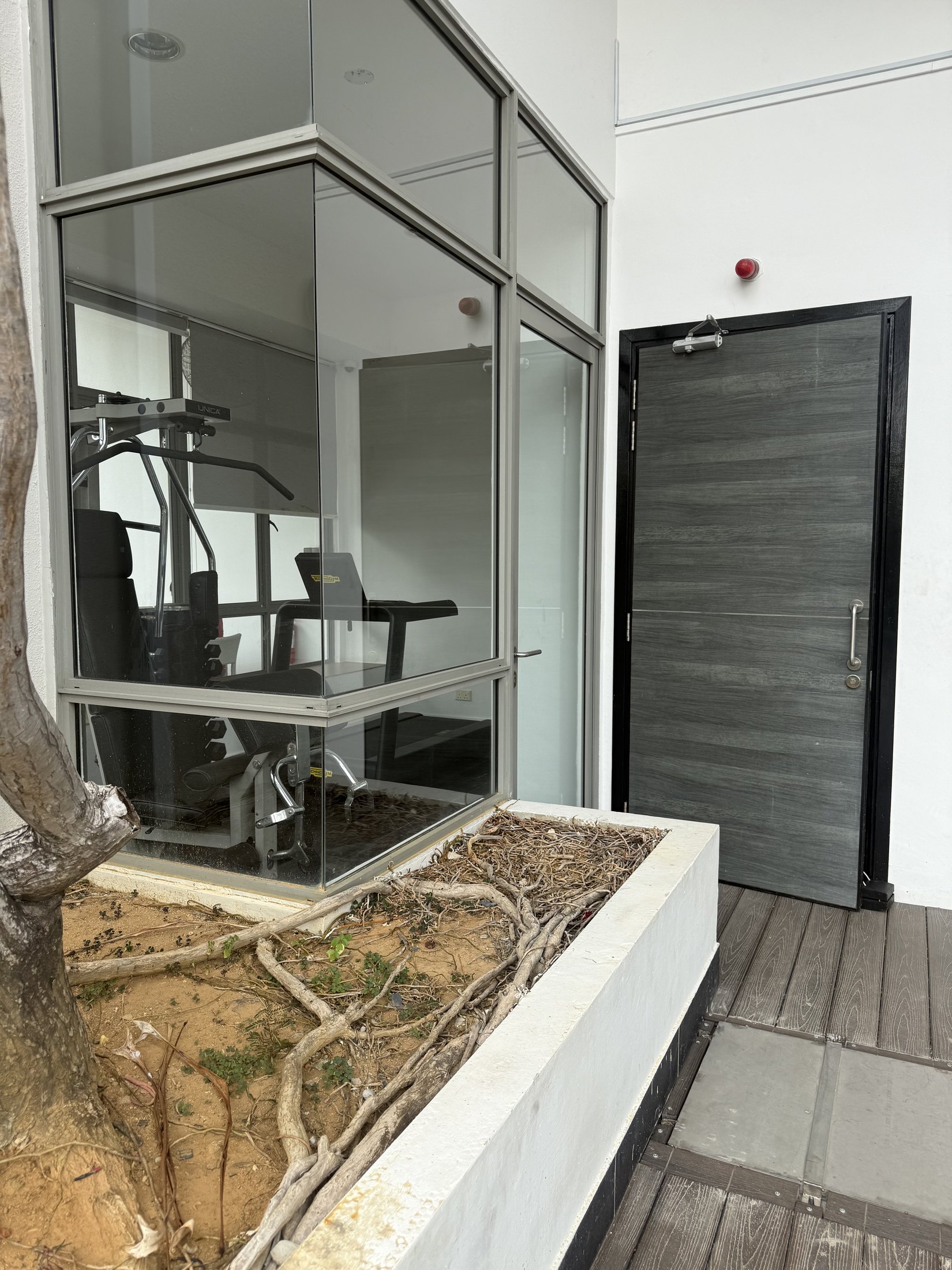Robertson Edge penthouse roof garden planter area